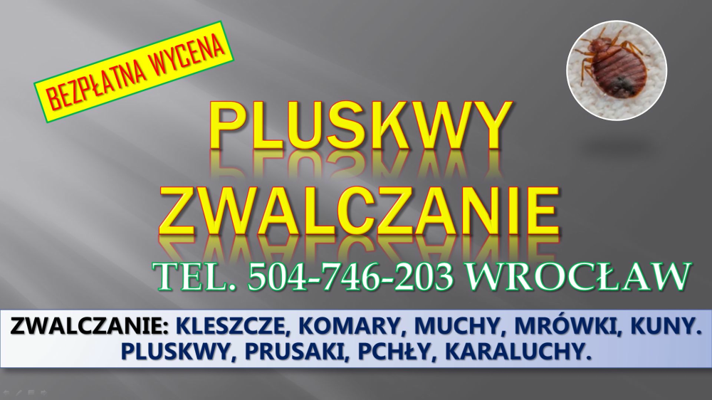 Dezynfekcja na pluskwy, cennik, tel. 504-746-203, Wrocław. 