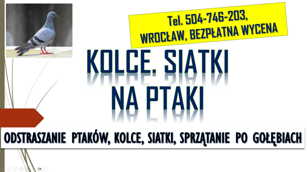 Odstraszanie gołębi, Wrocław, tel. 504-746-203. Płoszenie