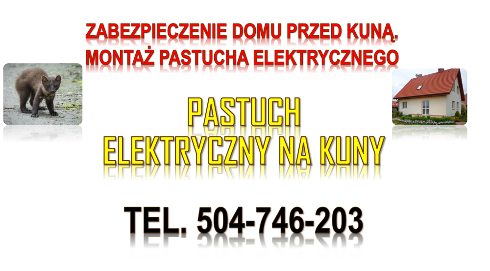 Pastuch elektryczny na kuny. Tel. 504-746-203, montaż cena