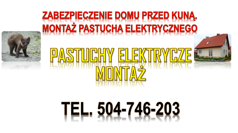 Pastuch elektryczny na kuny. Tel. 504-746-203, montaż cena