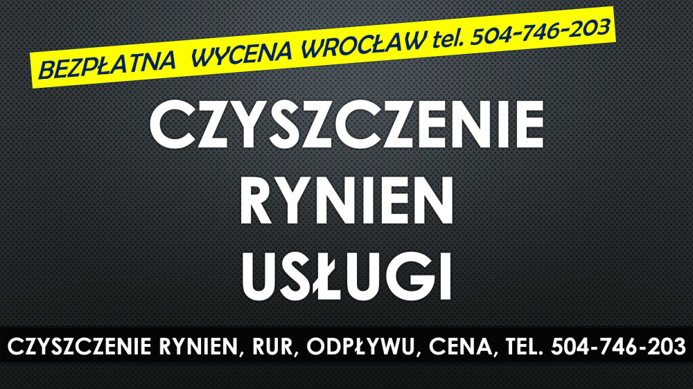 Usługi czyszczenia rynien, Wrocław, tel. 504-746-203, rynny