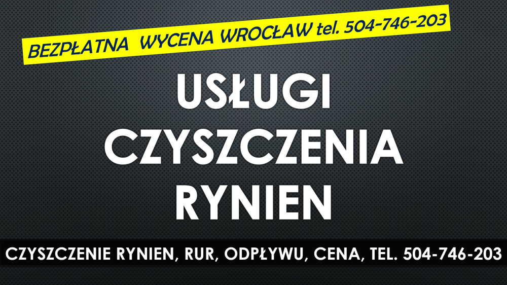 Usługi czyszczenia rynien, Wrocław, tel. 504-746-203, rynny