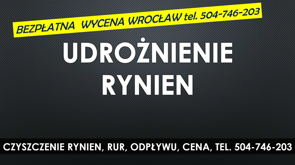 Usługi czyszczenia rynien, Wrocław, tel. 504-746-203, rynny