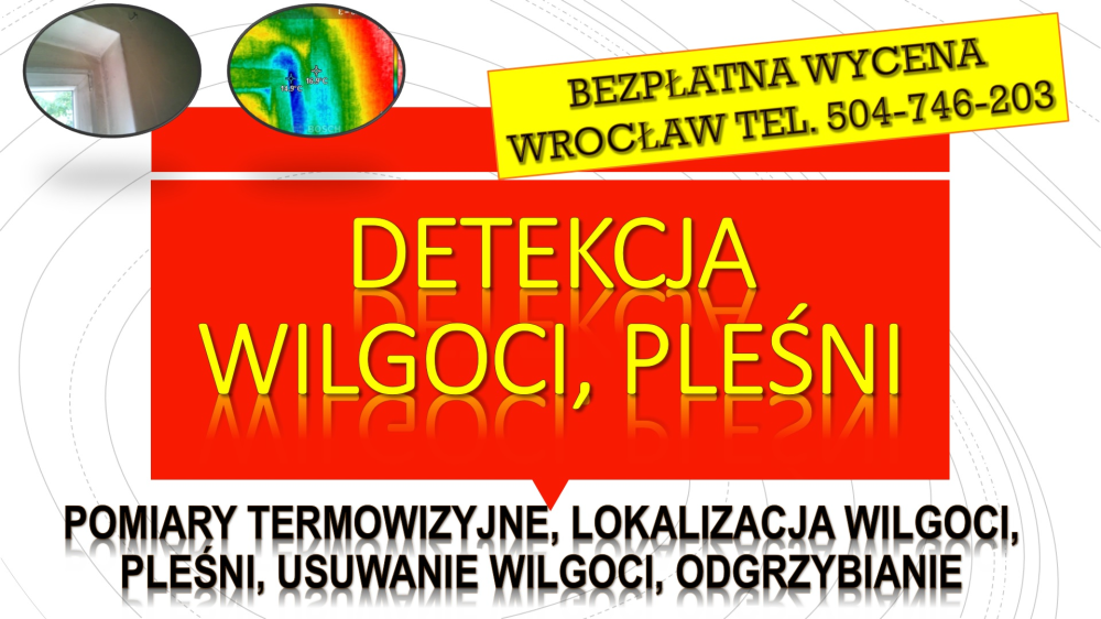 Wykrycie pleśni, tel. 504-746-203. Wrocław, wykrywanie, cena