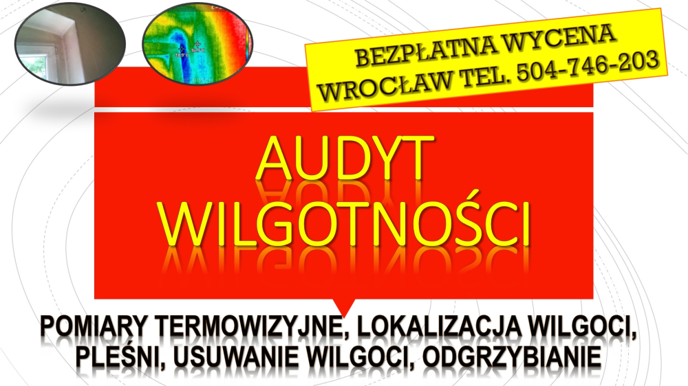 Wykrycie pleśni, tel. 504-746-203. Wrocław, wykrywanie, cena