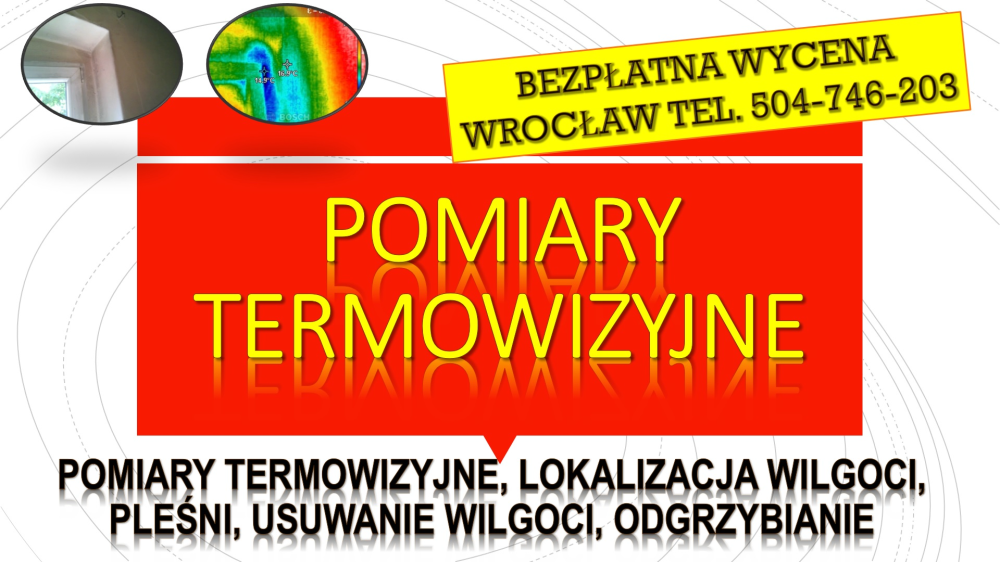 Wykrycie pleśni, tel. 504-746-203. Wrocław, wykrywanie, cena