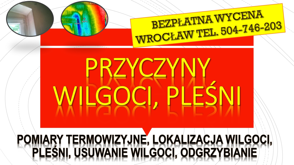 Wykrycie pleśni, tel. 504-746-203. Wrocław, wykrywanie, cena