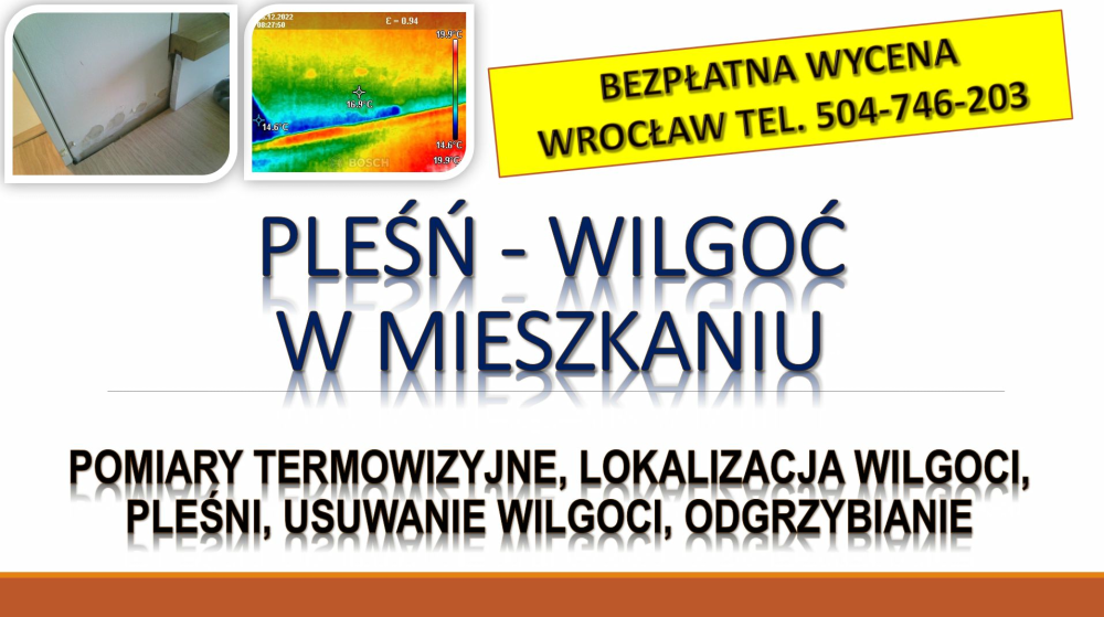 Wykrywanie i przyczyny wilgoci, Wrocław, tel. 504-746-203, 