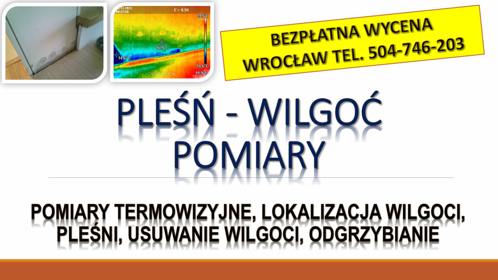 Wykrywanie i przyczyny wilgoci, Wrocław, tel. 504-746-203, 