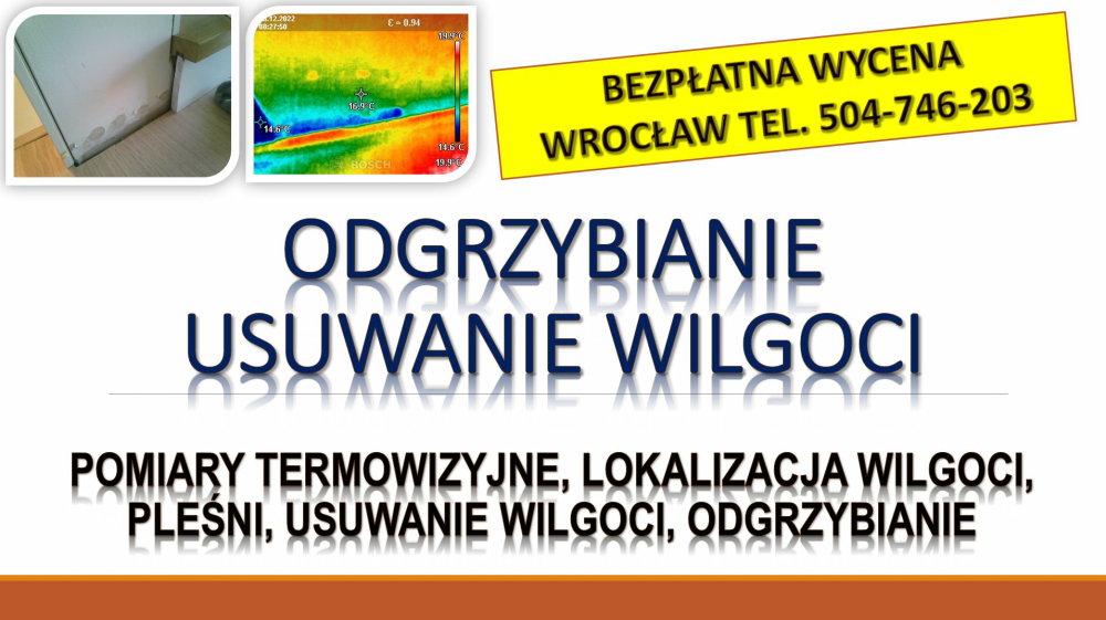 Wykrywanie i przyczyny wilgoci, Wrocław, tel. 504-746-203, 