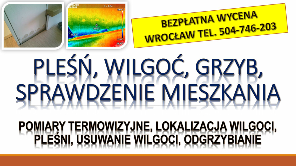 Wykrywanie i przyczyny wilgoci, Wrocław, tel. 504-746-203