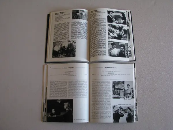 100 filmów angielskich A. Kołodyński, 100 filmów włoskich 