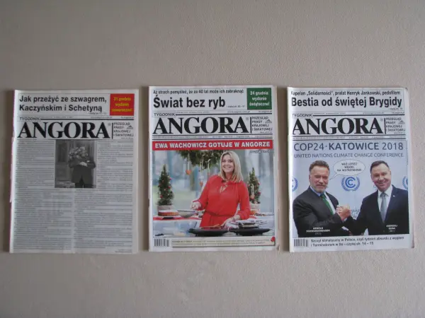 Angora tygodnik 2018 r. 