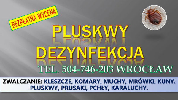 Dezynfekcja na pluskwy, cennik, tel. 504-746-203, Wrocław. 