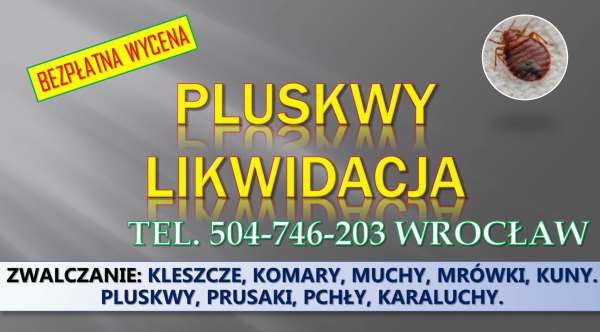 Dezynfekcja na pluskwy, cennik, tel. 504-746-203, Wrocław. 