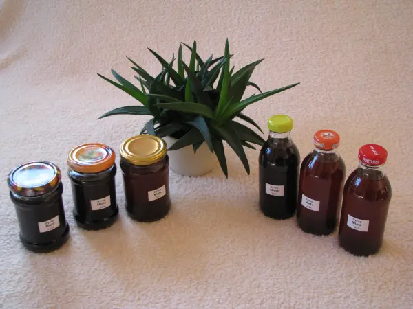 Domowy syrop z mięty pieprzowej, mocno skoncentrowany 300 ml