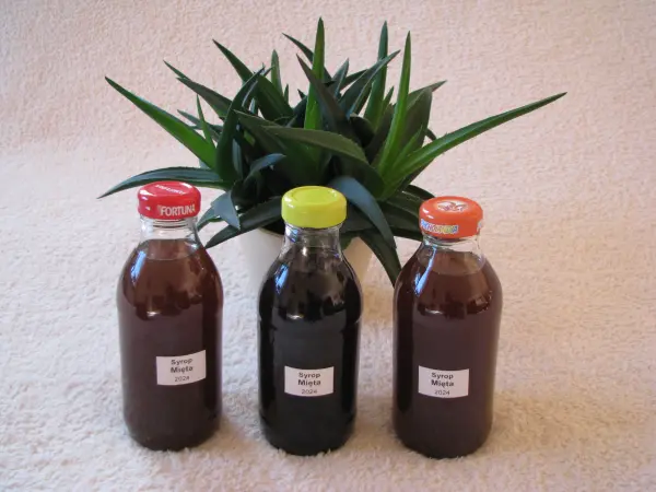 Domowy syrop z mięty pieprzowej, mocno skoncentrowany 300 ml