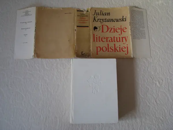 Dzieje Literatury polskiej, Julian Krzyżanowski PWN 