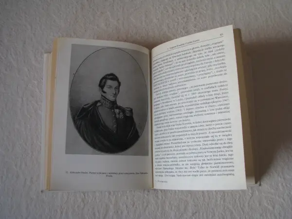 Dzieje Literatury polskiej, Julian Krzyżanowski PWN 