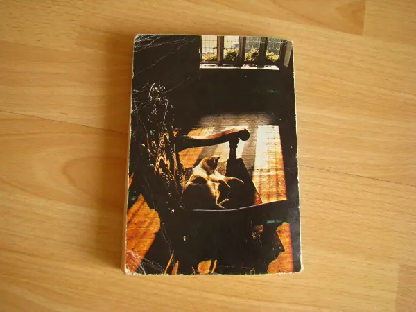 Flet z mandragory - Wldemar Łysiak