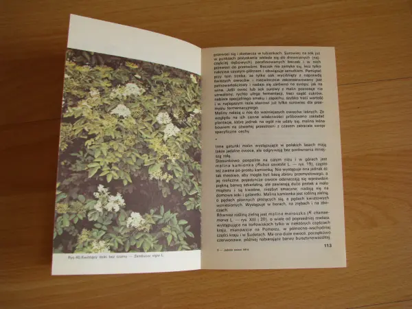 Jadalne owoce leśne - Wiesław Grochowski poradnik 