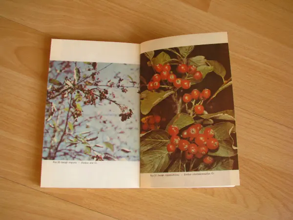 Jadalne owoce leśne - Wiesław Grochowski poradnik 