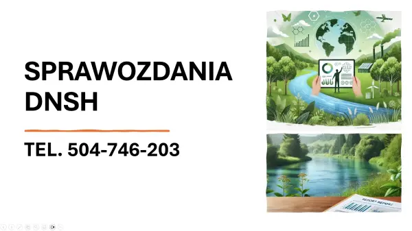 Konsultacje i pomoc w DNSH, , tel. 504-746-203, sprawdzenie