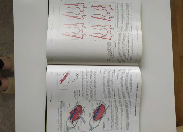 Książka podręcznik atlas of cerebrovascular disease Gorelik