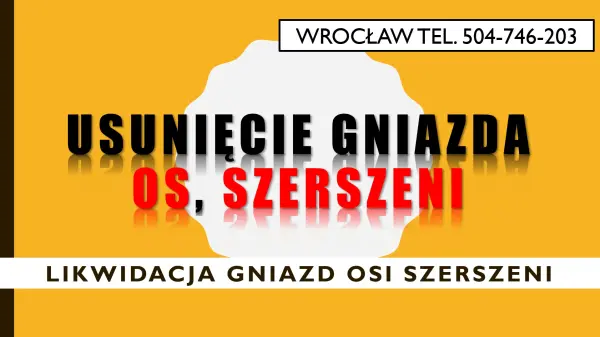 Likwidacja gniazd os i szerszeni, tel. 504-746-203, Wrocław
