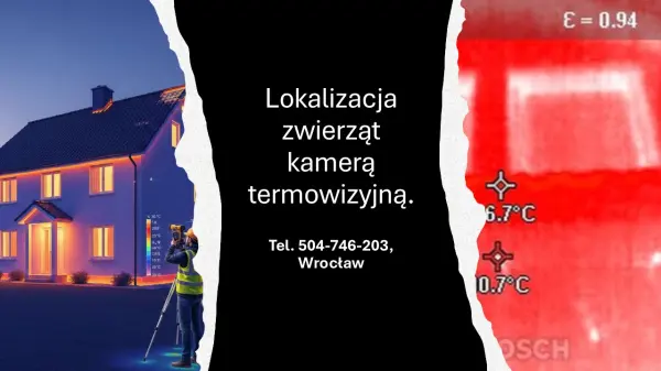 Lokalizacja zaginionych zwierząt kamerą termowizyjną,Wrocław