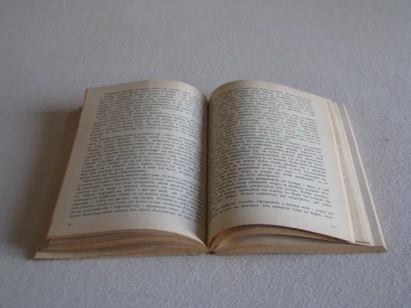 Mark Twain - Przygody Tomka Sawyera, Przygody Hucka 