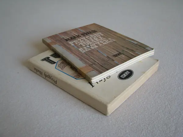 Mark Twain - Przygody Tomka Sawyera, Przygody Hucka 