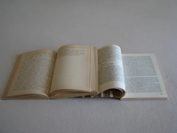 Mark Twain - Przygody Tomka Sawyera, Przygody Hucka 