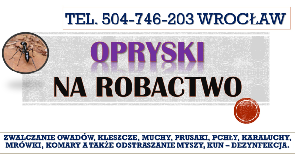 Mrówki dezynfekcja, Wrocław, tel. 504-746-203. Cennik