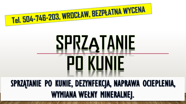 Naprawa, ocieplenia, izolacji, tel. 504-746-203, Wrocław