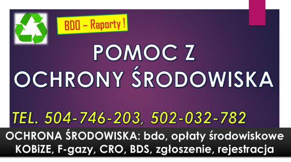 Obsługa BDO, cennik tel. 504-746-203. Sprawozdanie