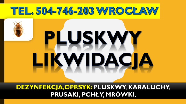 Odpluskwianie mieszkań Wrocław, tel. 504-746-203, pluskwy