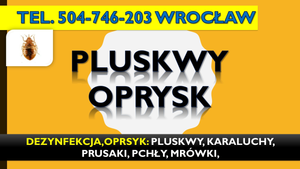 Odpluskwianie mieszkań Wrocław, tel. 504-746-203, pluskwy