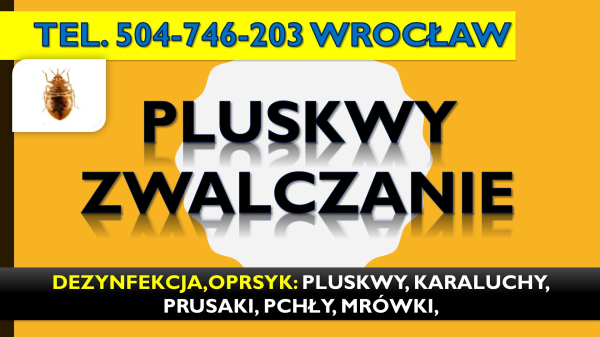 Odpluskwianie mieszkań Wrocław, tel. 504-746-203, pluskwy