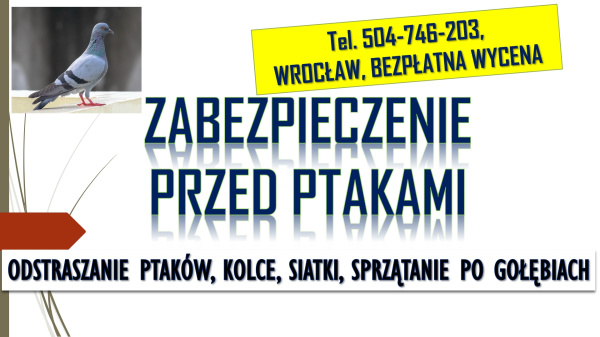 Odstraszanie gołębi, Wrocław, tel. 504-746-203. Płoszenie