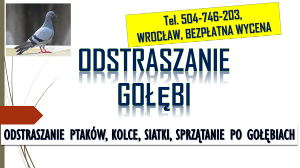 Odstraszanie gołębi, Wrocław, tel. 504-746-203. Płoszenie