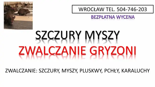 Odszczurzanie, domu, budynku, Wrocław, tel. 504-746-203,