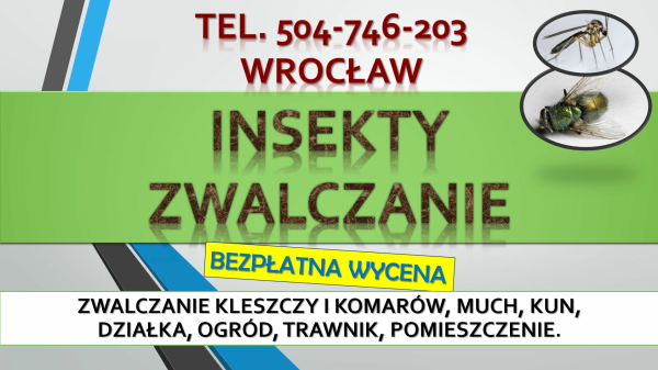 Oprysk na kleszcze, cennik, tel. 504-746-203, Wrocław. cena.