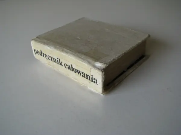 Podręcznik całowania Julian Ejsmond