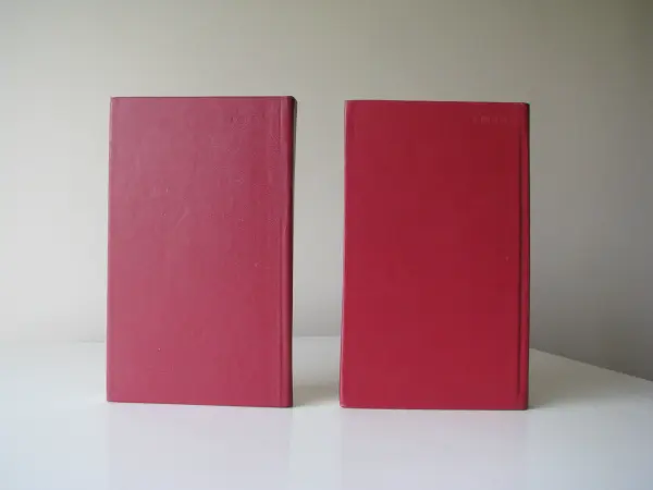 Polska nowela fantastyczna, 2 tomy – zebrał Julian Tuwim 197