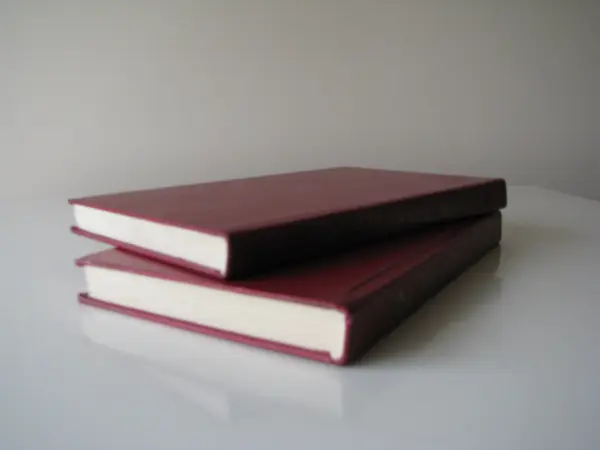 Polska nowela fantastyczna, 2 tomy – zebrał Julian Tuwim 197