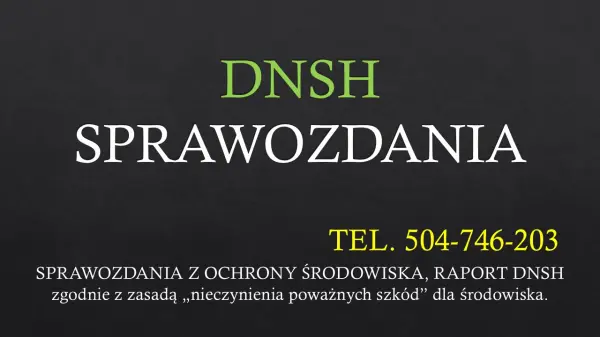 Przeprowadzić analizę DNSH, tel. 504-746-203, cennik