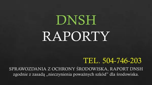 Sprawozdanie DNSH, tel. 504-746-203,  raport, cena