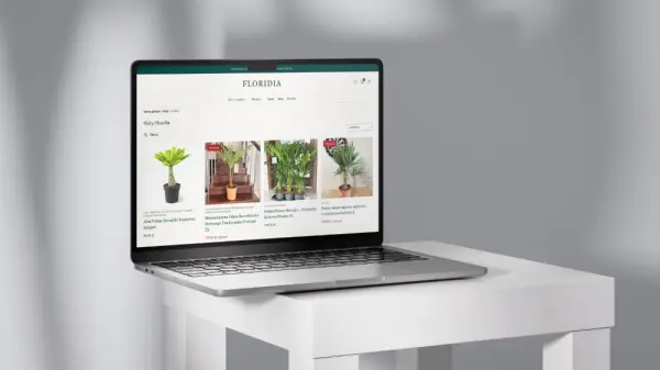 Strony internetowe, sklepy online i automatyzacje AI