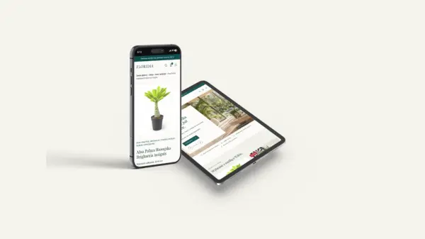 Strony internetowe, sklepy online i automatyzacje AI